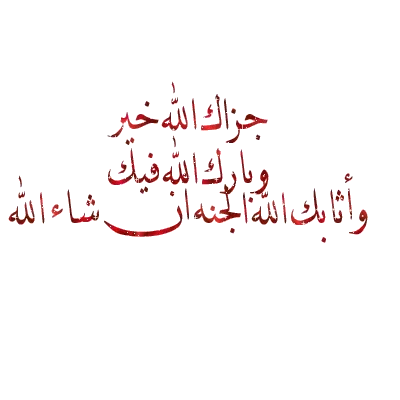 1732456060701.webp