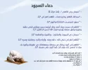 21.webp