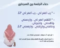22.webp