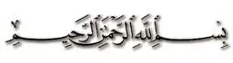 zyzoom 15.webp