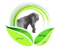 f7vmuabdنسخ.webp