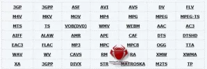 الصيغ التي يدعمها.webp