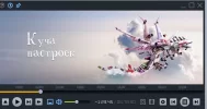 التقاط.webp