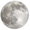 y2Mcwr.webp