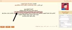 3.webp