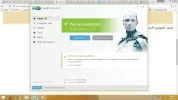 2.webp