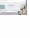 3.webp