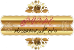 28.webp