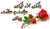 0011.gif