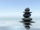 images716MCV27.webp