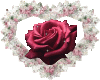 b5e1c4e934cd686576ddd2ab10c55340.gif