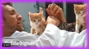 أطار صورة.webp