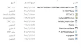 1a.webp
