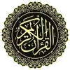 13.webp