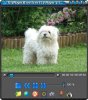 ab9f73e65419a5fae19aeb5cc7bab9e3.jpg