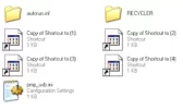 viruscopyofshortcut-1.webp