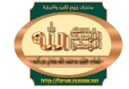 5.webp