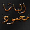 الباشا.png