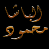 الباشا1.png