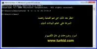 4.webp