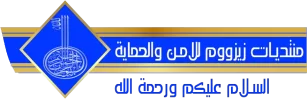 2.webp