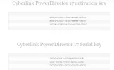 POWER DIRECTEUR.webp