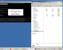 2- hbcd.webp