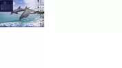 ع.webp