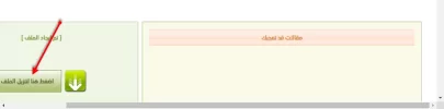 3.webp