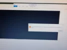 143035482_455289962499270_1744962182663202155_n.webp