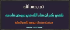 Zy10.webp