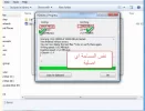 11.webp