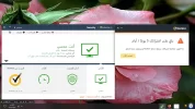 norton.webp