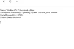 windowskey.webp