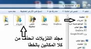 ms1.webp