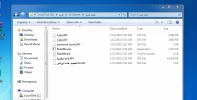 infected files.webp