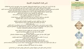 4.webp