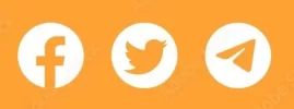 1N4FusG.webp