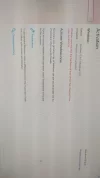 11.webp