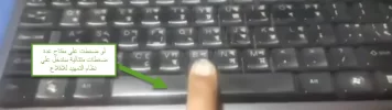 13.webp