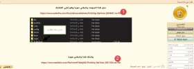 14.webp