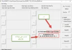 5.webp