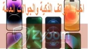 5555.webp