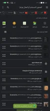 Screenshot_٢٠٢٥-٠٢-١٢-١٧-١٩-٠٤-٠٠٥_com.google.android.documentsui.webp