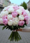 fVi0yRnu.webp