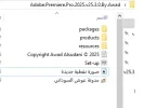 2.webp