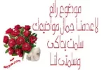upload_2014-1-8_17-57-51.webp