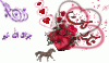 12802046072222.gif