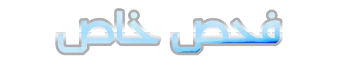 5.webp