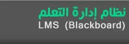 lms.webp